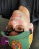 Gary is single in Wasilla, AK USA