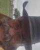 Roberto is single in Llano, TX USA