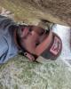 Alex is single in Madison Heights, MI USA