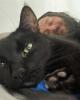 Roger is single in Winter Springs, FL USA