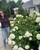 Nancy is single in Spring Lake, MI USA
