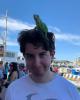 Robert is single in Merrick, NY USA