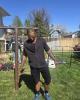 Shaq is single in Colorado Springs, CO USA