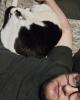 Avery is single in Altamonte Springs, FL USA