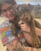 Sophie is single in Bunker Hill, WV USA