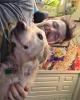 Koby is single in Canton, GA USA