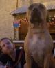 Tim is single in Boyertown, PA USA