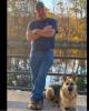 Rob is single in Bloomfield, CT USA