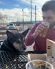 Joe is single in Birmingham, AL USA