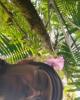 Conan is single in Ocala, FL USA
