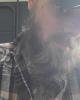 Brady is single in Burbank, OH USA