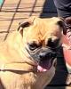 MacKenzie is single in Yucca Valley, CA USA