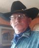 James is single in Purdy, MO USA