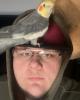 Logan is single in Otterville, MO USA