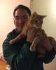 Jeffrey is single in Forest Hills, NY USA