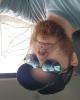 Brandon is single in Pardeeville, WI USA