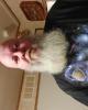 James is single in New Brockton, AL USA