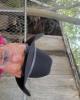 Ezequiel is single in Okmulgee, OK USA