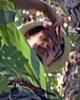 Corben is single in Grove, OK USA