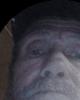 Fred is single in Webster, FL USA