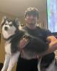 Yogesh is single in Frankfort, KY USA