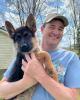 Chet is single in Beavercreek, OH USA