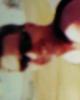 Michael is single in McGregor, MN USA