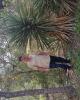 Rick is single in Grand Forks, ND USA