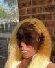 Tiff is single in Loris, SC USA