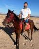Nader is single in East Brunswick, NJ USA