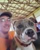 Dain is single in Dillsboro, IN USA