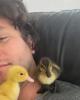 Casey is single in Scottsdale, AZ USA