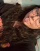 Kady is single in St Albert, AB CAN
