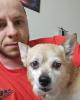 Robert is single in Philadelphia, PA USA