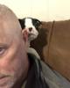 Todd is single in Canton, TX USA