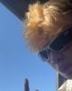 Wyatt is single in Pocatello, ID USA