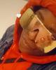 Tristan is single in Corryville, OH USA