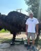 Mark is single in Voorheesville, NY USA