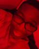 Daniel is single in Fishers, IN USA