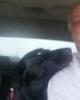 David is single in Montegut, LA USA