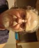 Ledra is single in Tuxedo, MB CAN