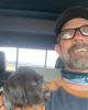 David is single in Carbondale, CO USA
