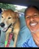 Dan is single in Windermere, FL USA