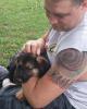 Scott is single in Fairview Heights, IL USA