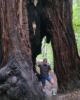 Chuck is single in Chino Hills, CA USA