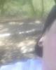 Wayne is single in Jamestown, CA USA