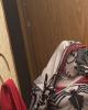 Vanessa is single in Elma, WA USA