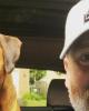 Steve is single in Shelby, NC USA