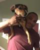 Keegan is single in DeKalb, IL USA