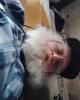 Jeffrey is single in Cook, MN USA